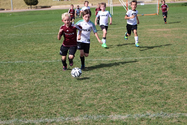 展示了他们 展示了他们