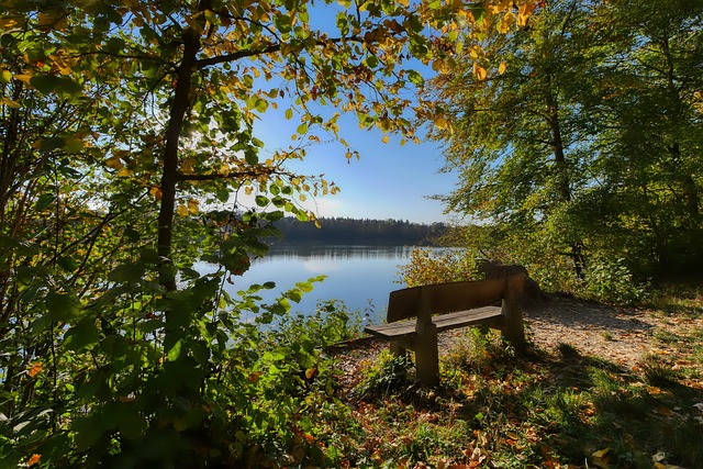 并对乌克兰 并对乌克兰