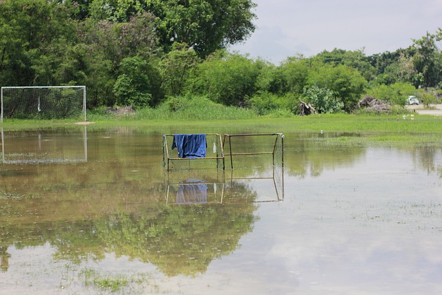 们强大的市 们强大的市