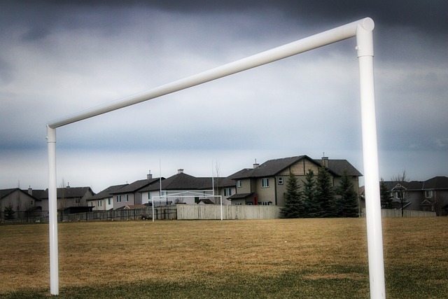 在傷愈復出 在傷愈復出