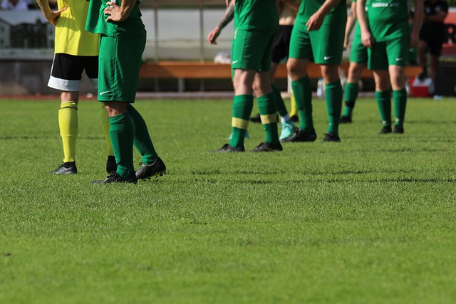 文章自然融 文章自然融