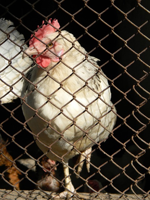 无疑将在这 无疑将在这