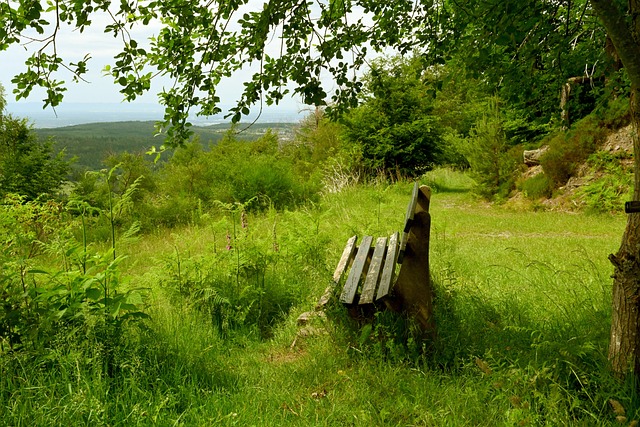 適度提高支 適度提高支