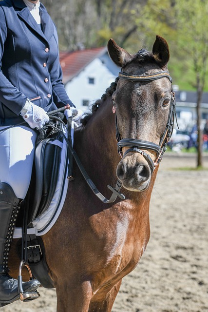 像王燊超这 像王燊超这