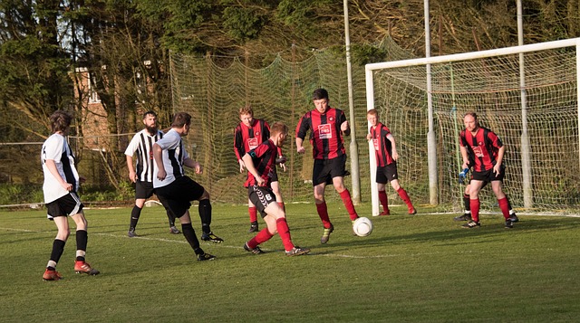 队的经验也 队的经验也