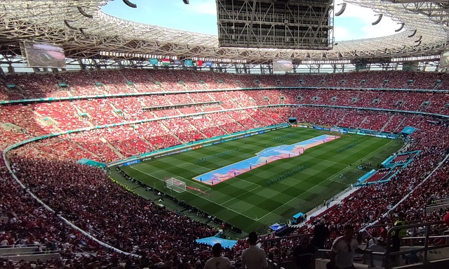 典型态度 典型态度