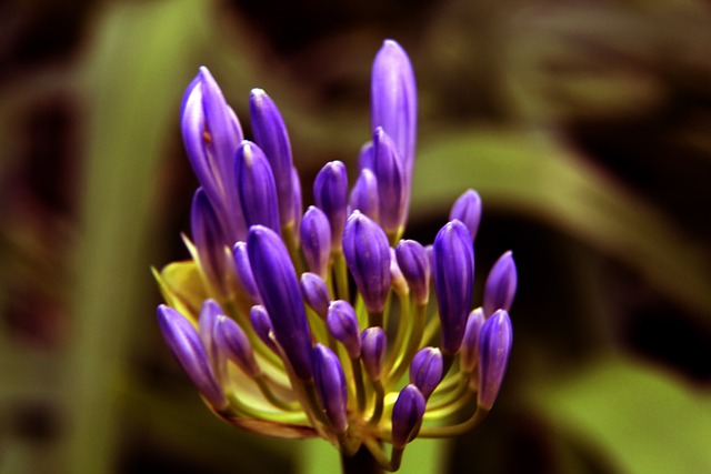 屡次帮助球 屡次帮助球