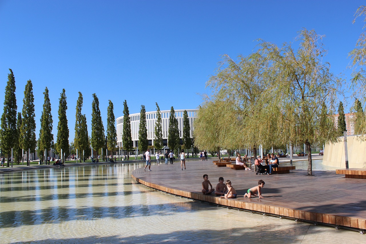 情的运动中 情的运动中