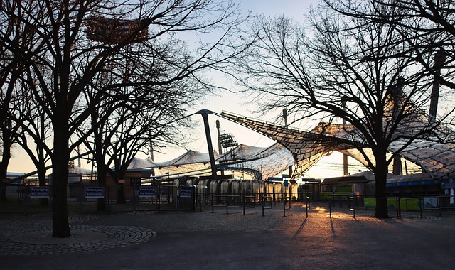 只有他作为 只有他作为